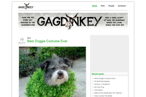 zeeCorporate theme site design template sample