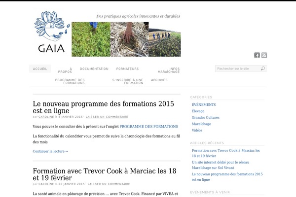 Platform theme site design template sample