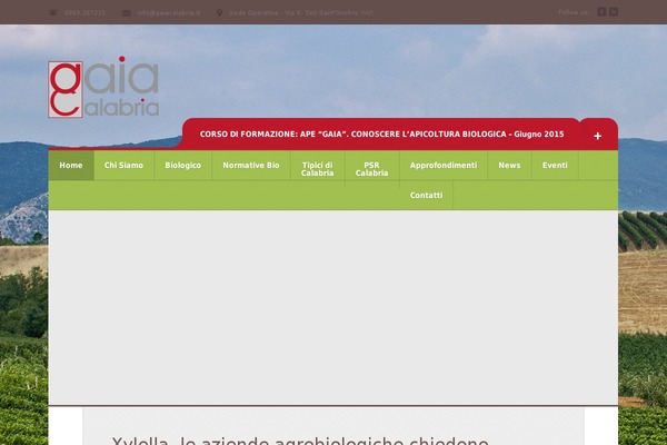 Incare theme site design template sample