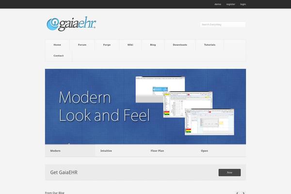 Pitch theme site design template sample