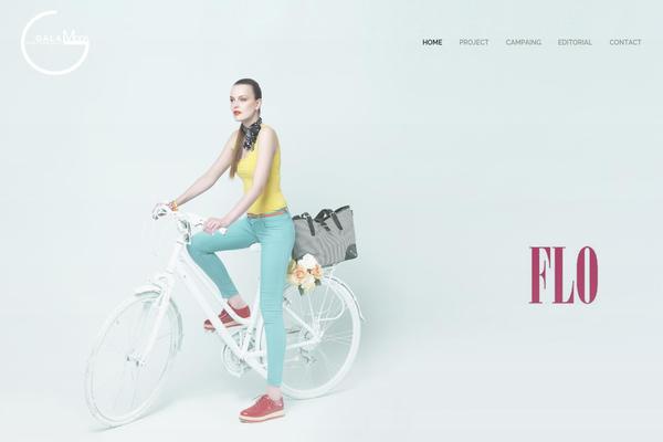 Armada theme site design template sample