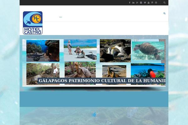 Salbii theme site design template sample