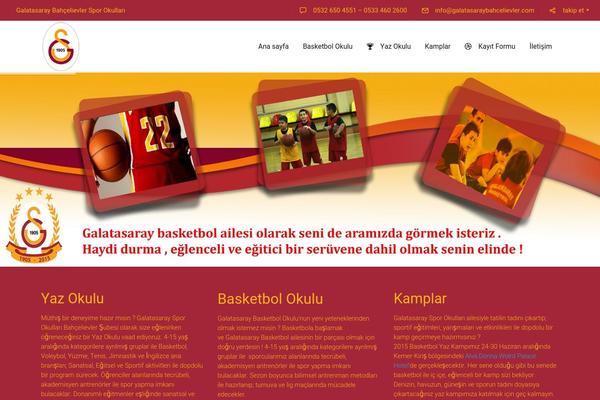 SEOWP theme site design template sample