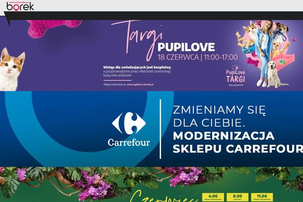 galeria-borek.pl site used Borek_theme