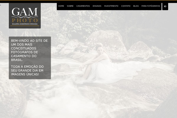 Vernissage theme site design template sample