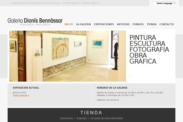 galeriadionisbennassar.com site used ArtGallery