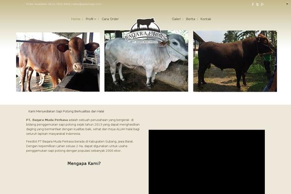 Wiz theme site design template sample
