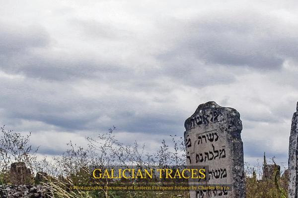 Avada theme site design template sample