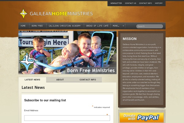 Light of Peace theme site design template sample