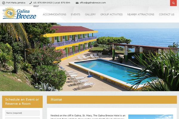 Viva_theme theme site design template sample