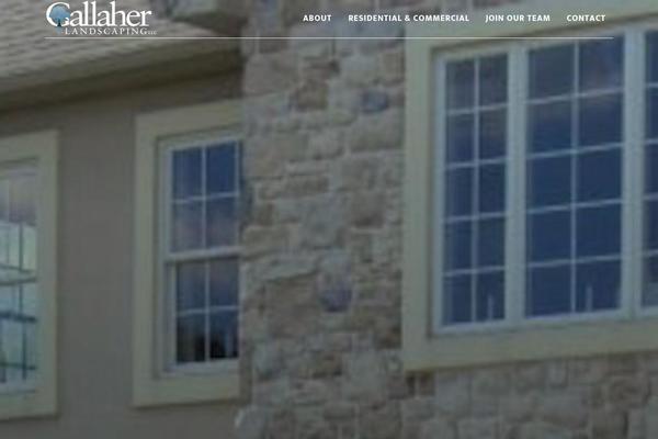 Altitude Pro theme site design template sample
