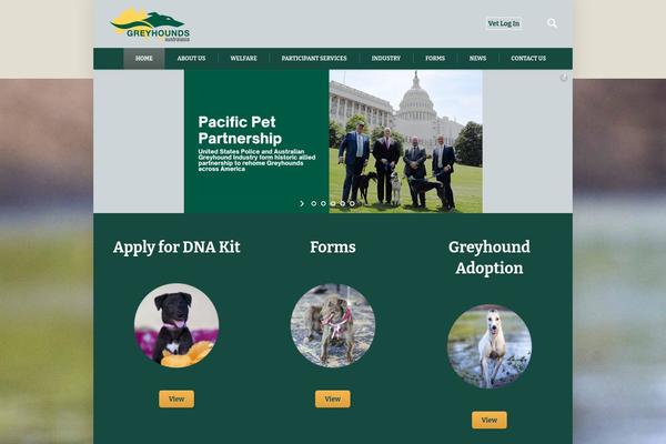 Pet-rescue theme site design template sample
