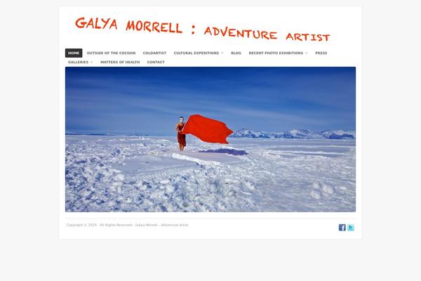 Portfolio theme site design template sample