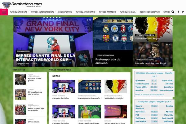 Flex Mag theme site design template sample