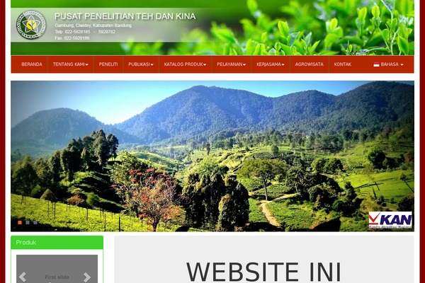 Hashi theme site design template sample