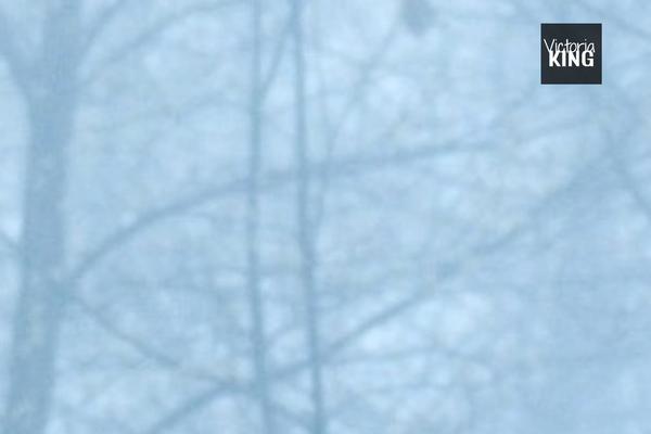 Surreal theme site design template sample