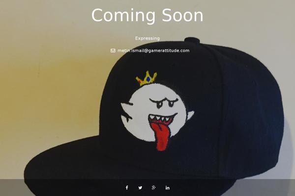 Site using Twitter Feed plugin