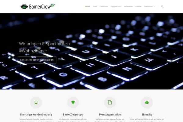 salient1 theme websites examples