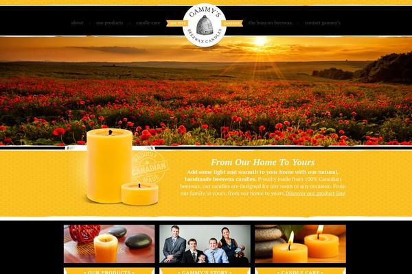 HTML5 Blank theme site design template sample