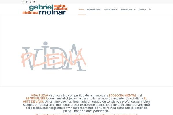 Enfold theme site design template sample