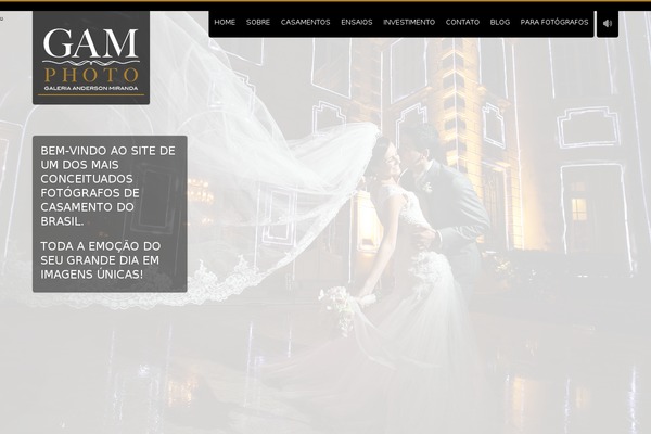 Vernissage theme site design template sample