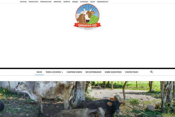 Site using Facebook-page-feed-graph-api plugin