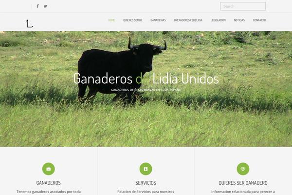 Site using Slider-revolution plugin
