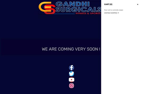 GoStore theme site design template sample