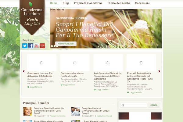 ganodermalucidumreishi.com site used Theme1269