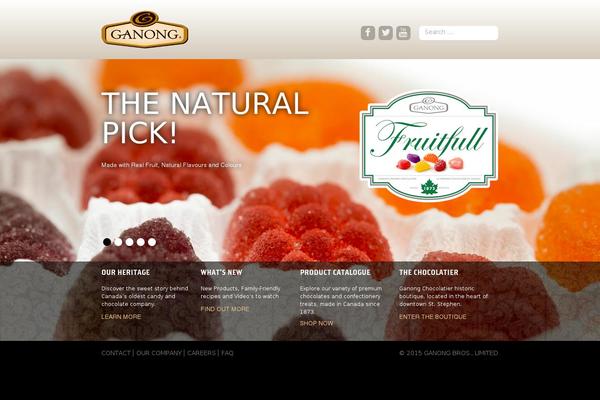 swissdesigngroup-child theme websites examples