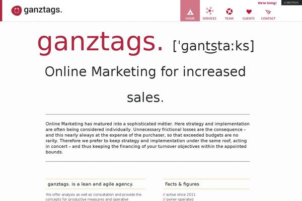 magnes theme websites examples