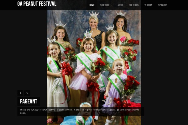 Lensa theme site design template sample