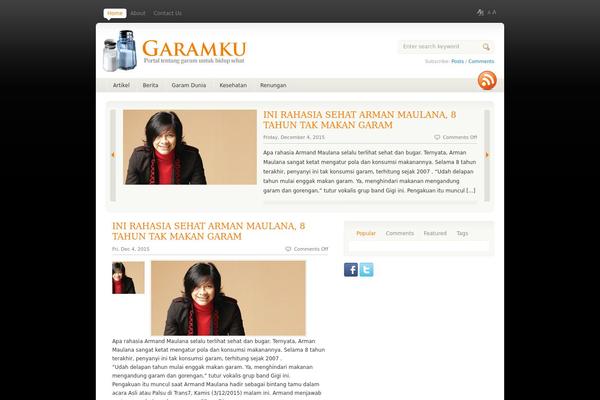 Flash News theme site design template sample