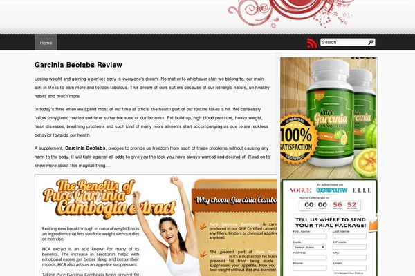 Mflat theme site design template sample