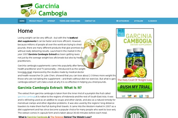WordPlus theme site design template sample