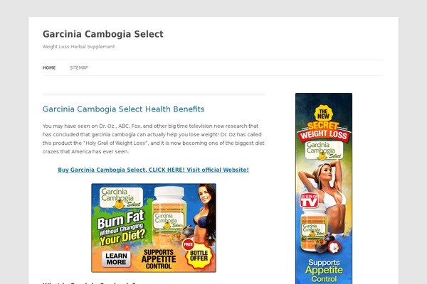 Twenty Twelve theme site design template sample