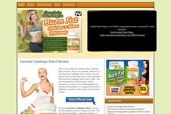 FlexSqueeze theme site design template sample