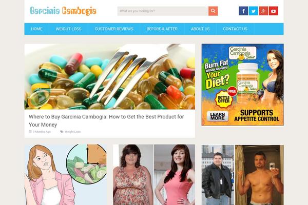 SociallyViral theme site design template sample