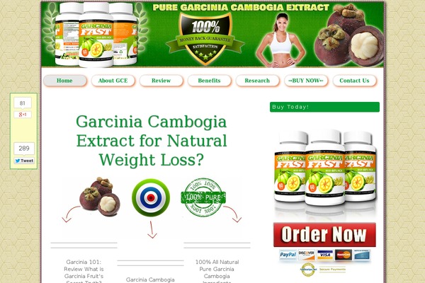 Thesis 1.8.5 theme site design template sample