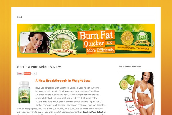 Twentytwelve1 theme site design template sample