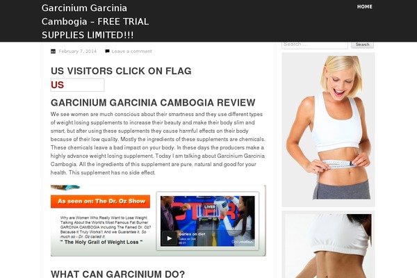 InkMag theme site design template sample