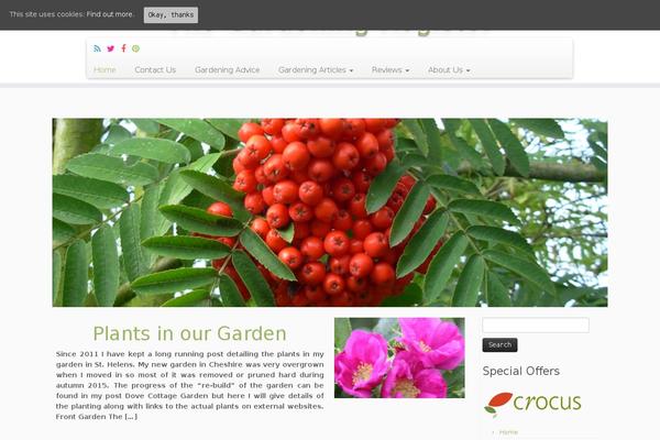 Customizr Pro theme site design template sample