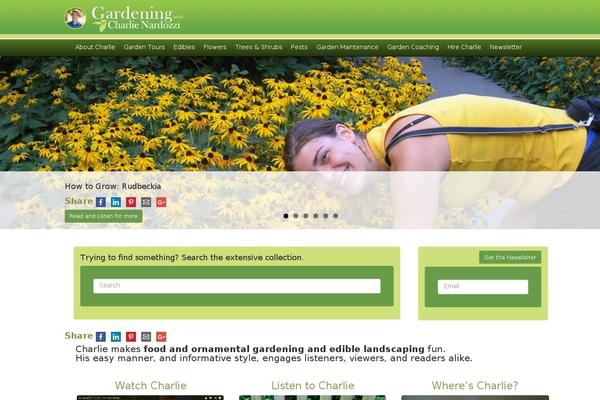Site using Divi-mini-cart plugin
