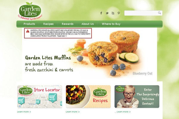 Food Recipes theme site design template sample