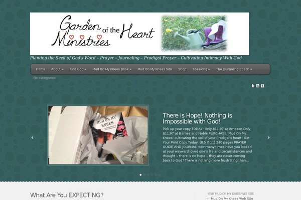 Site using Simple Social Expandable plugin