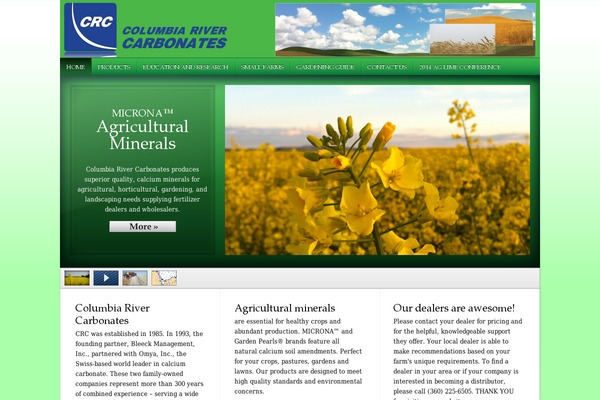 WhiteHouse Pro theme site design template sample