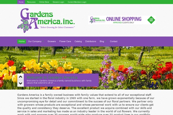 Site using Advanced-woo-search plugin