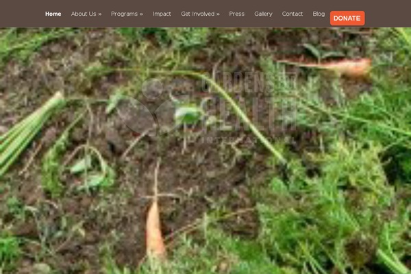 Vertex theme site design template sample
