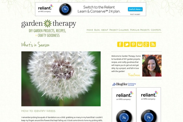 Site using Perfmatters plugin