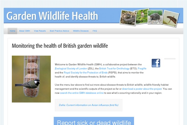 Able theme site design template sample